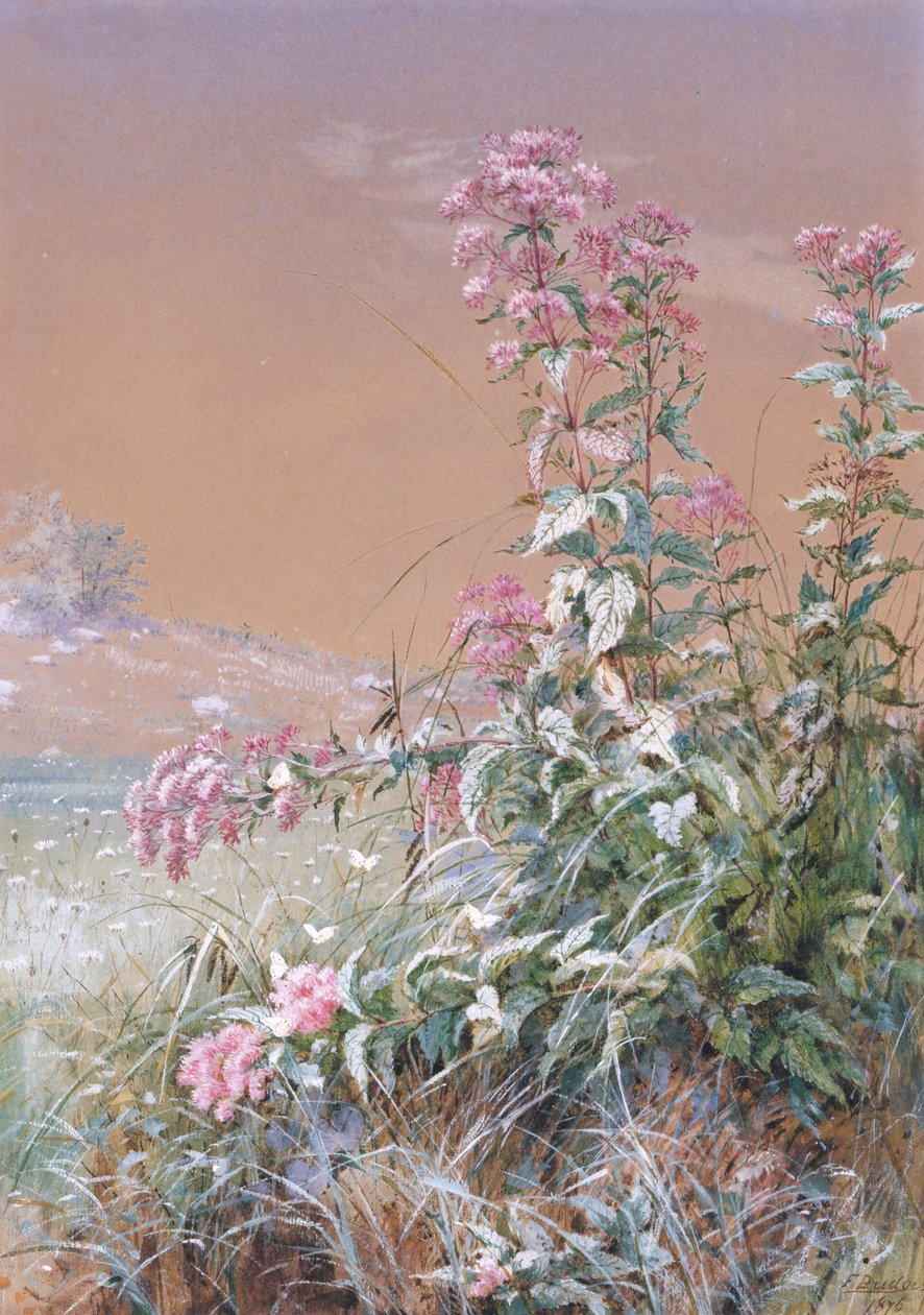 Uten tittel, 1876. av Fidelia Bridges