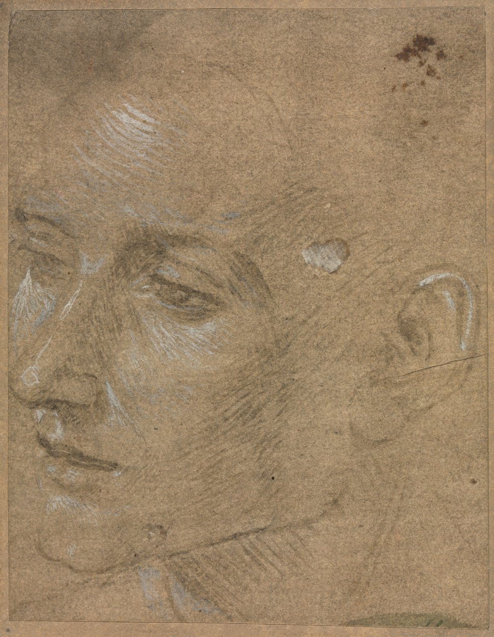 Leder for en ung mann av Filippino Lippi