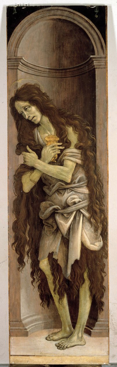 Ukjent bilde av Filippino Lippi