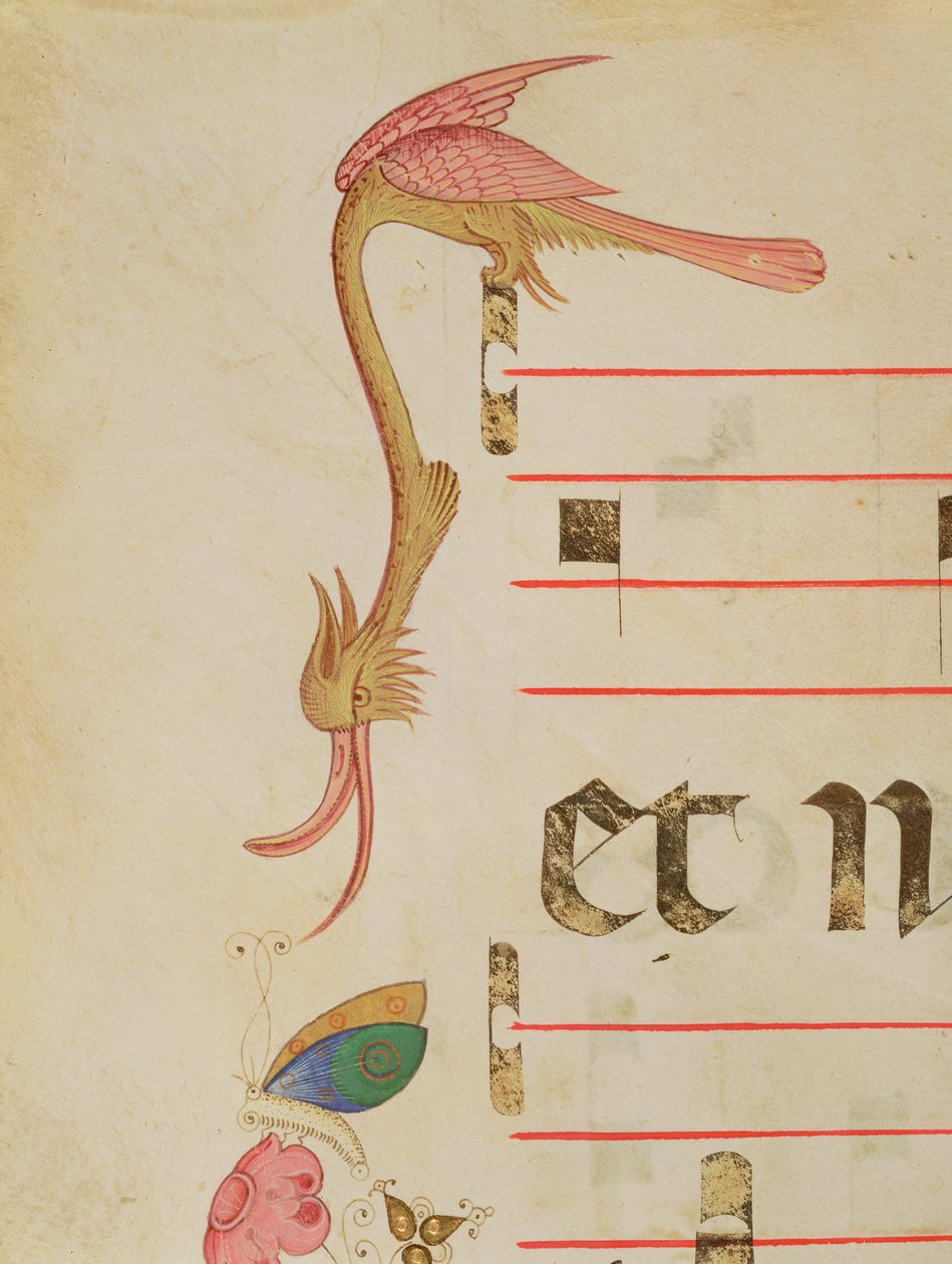 Missal 515 f.9r Fantastisk fugl som jakter på en sommerfugl, detalj av dekorativ kant fra en korbok utført før 1449 av Filippo di Matteo Torelli