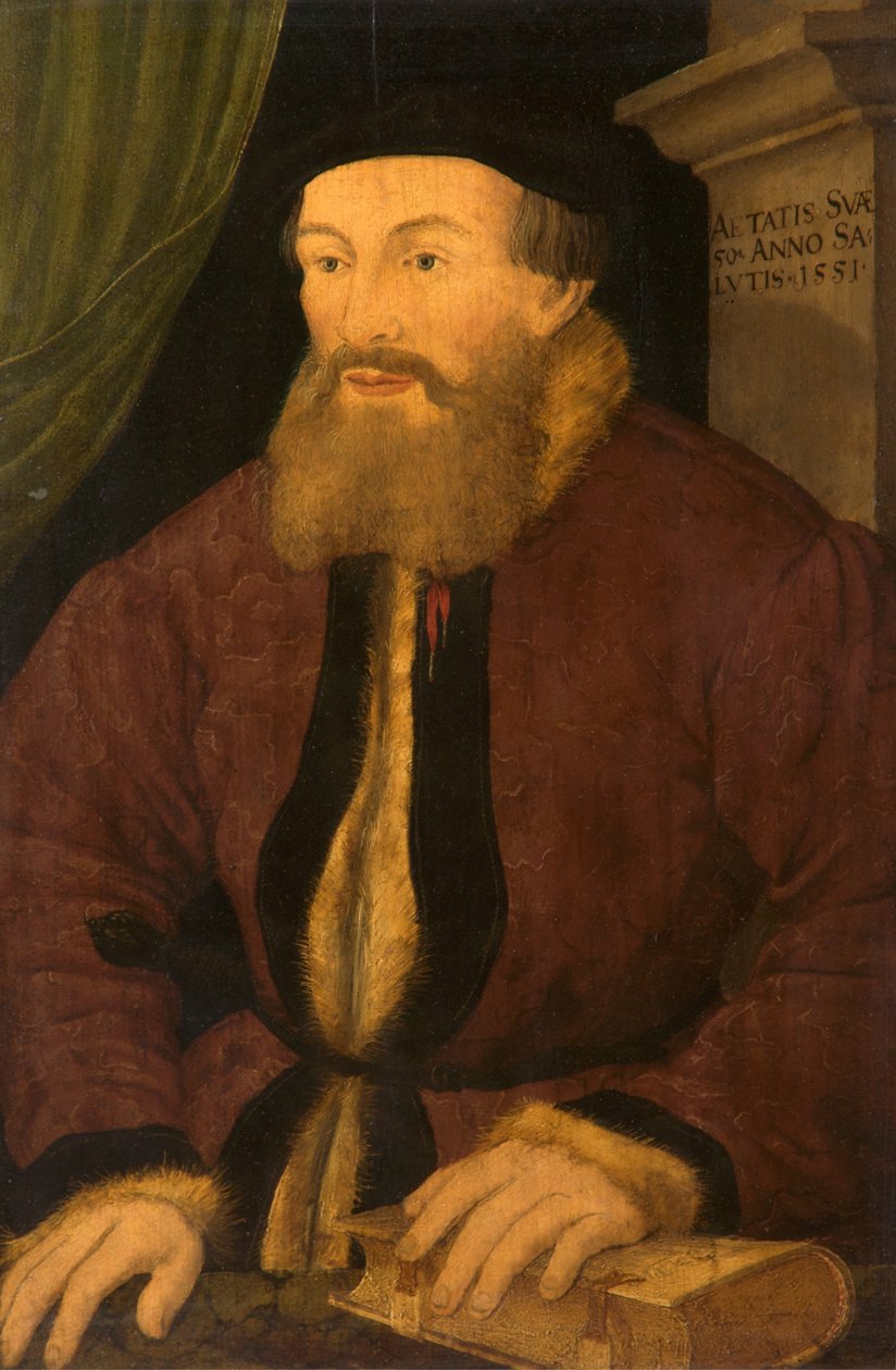 Portrett av en mann, 1551 av Flemish School