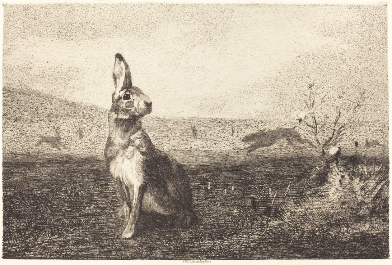 Haren av Félix Bracquemond after Albert de Balleroy