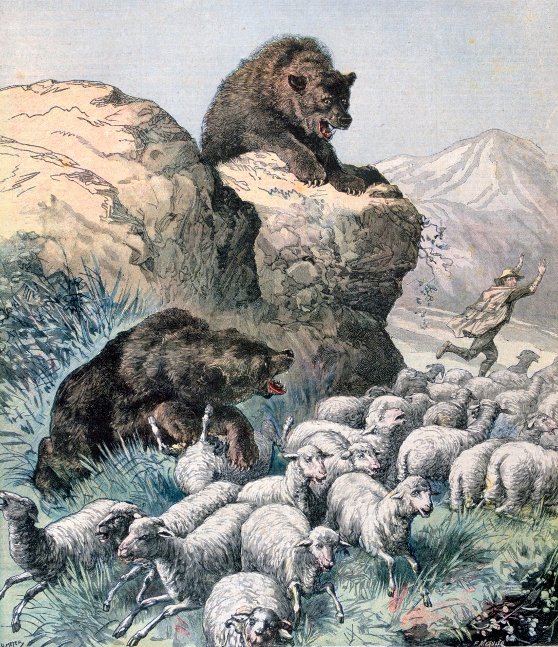 Bears of the Cagyre, 1891. av Fortuné Méaulle
