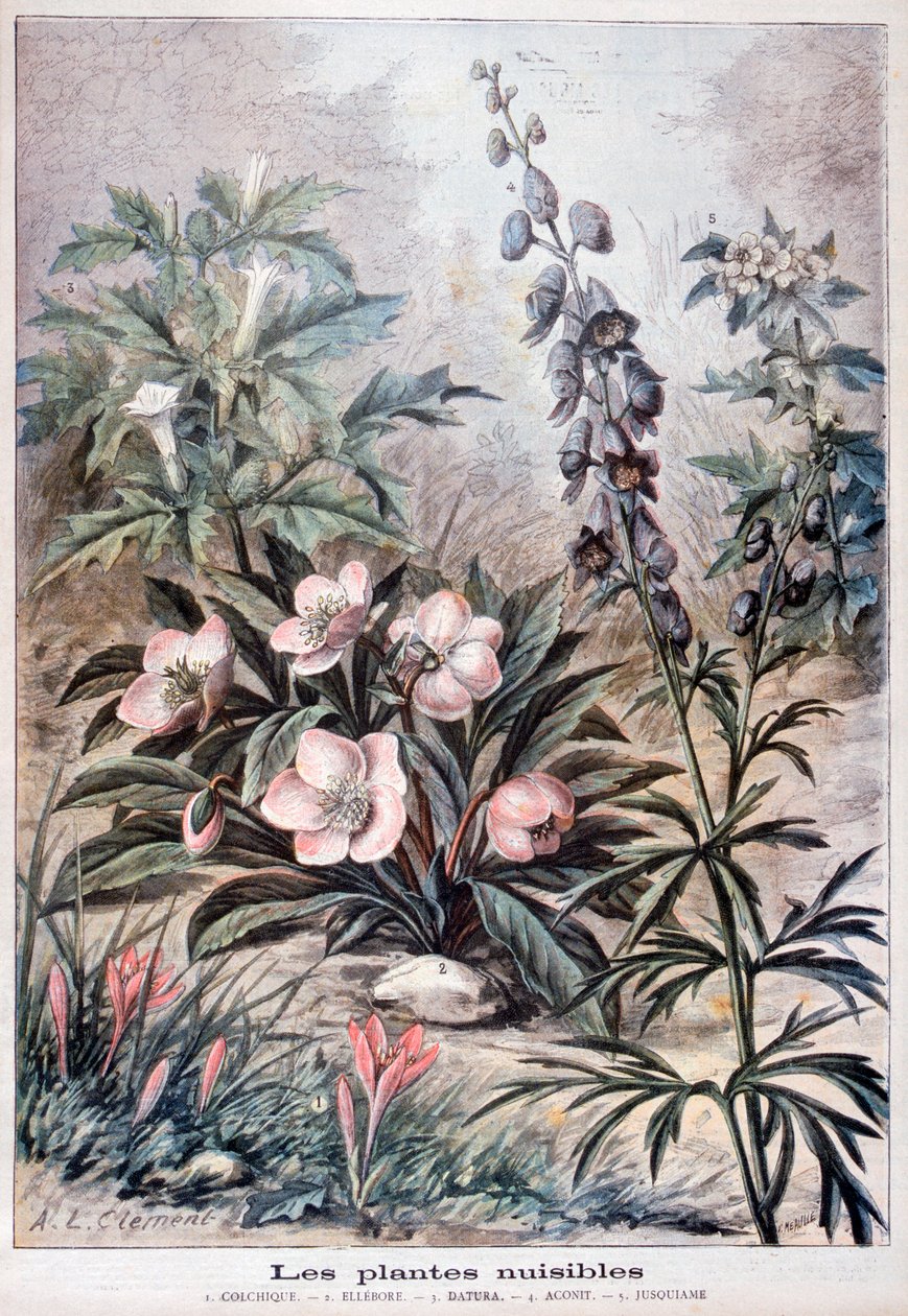 Skadelige planter, 1897 av Fortuné Méaulle