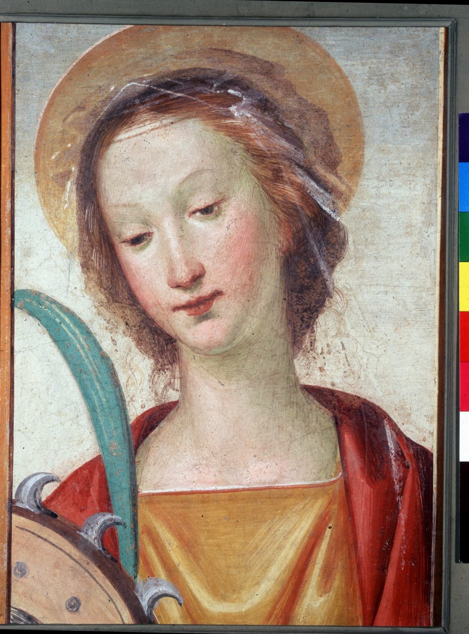 Ukjent bilde av Fra Bartolomeo