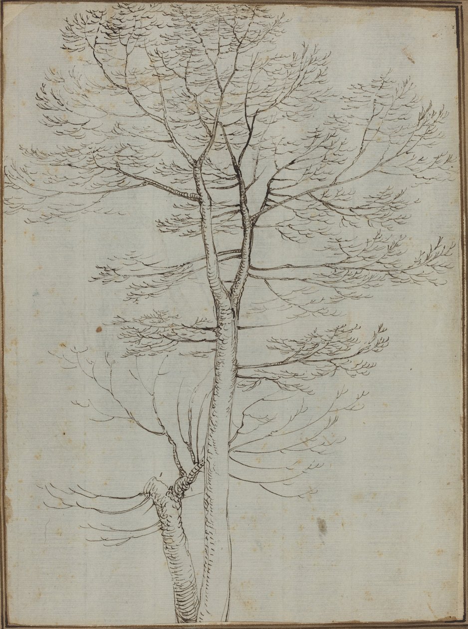 Bare tre [verso] av Fra Bartolommeo