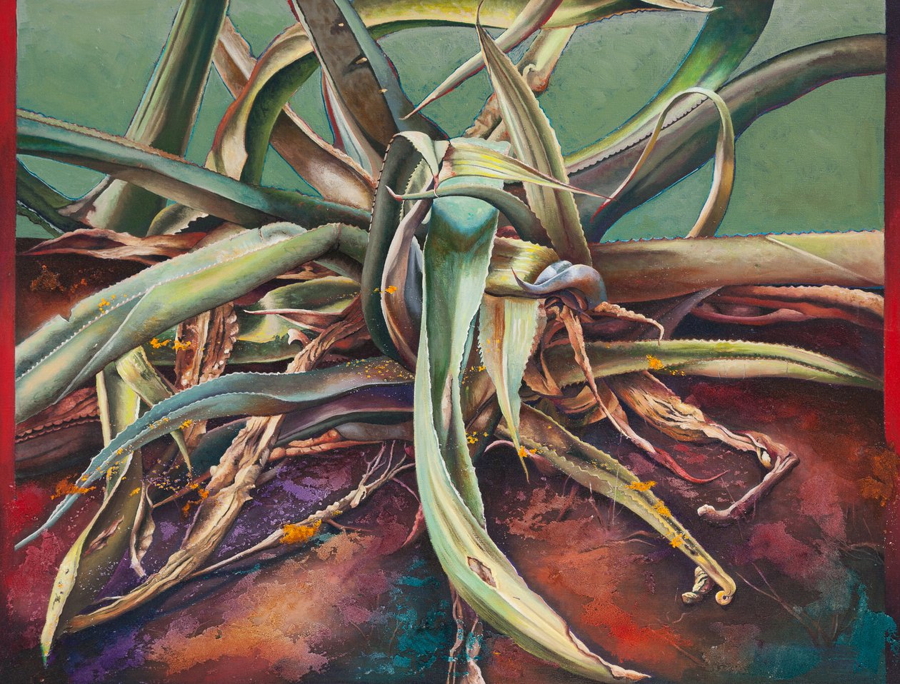 Century Plant av Frances Ferdinands