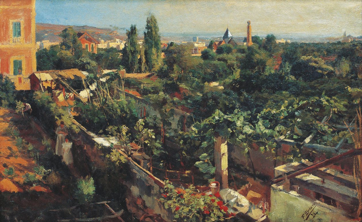 The Grapevines av Francesc Gimeno