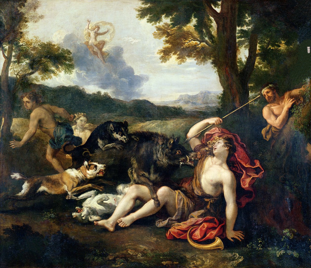 Adonis drept av et villsvin av Francesco Albani