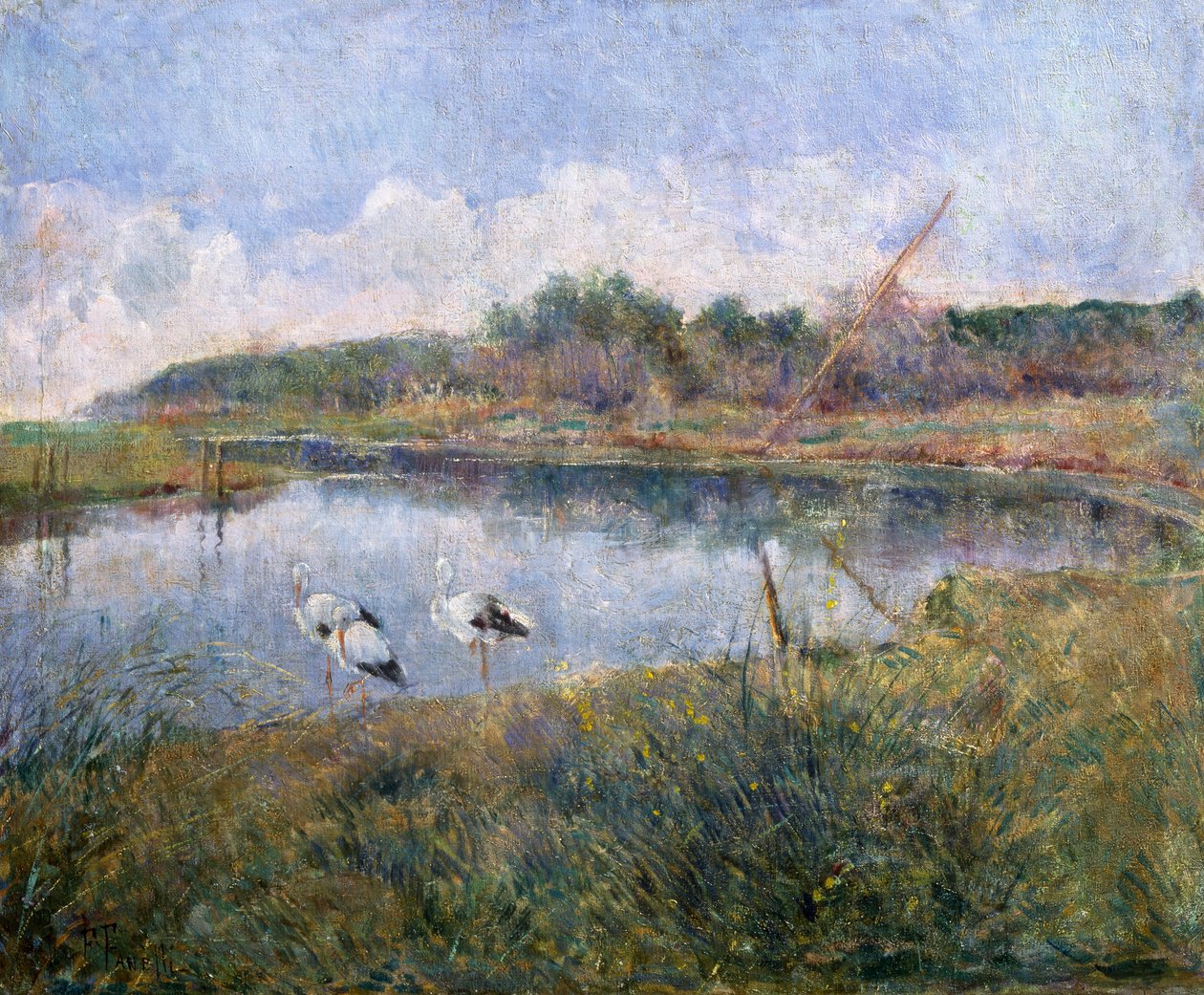 Massaciuccoli av Francesco Fanelli