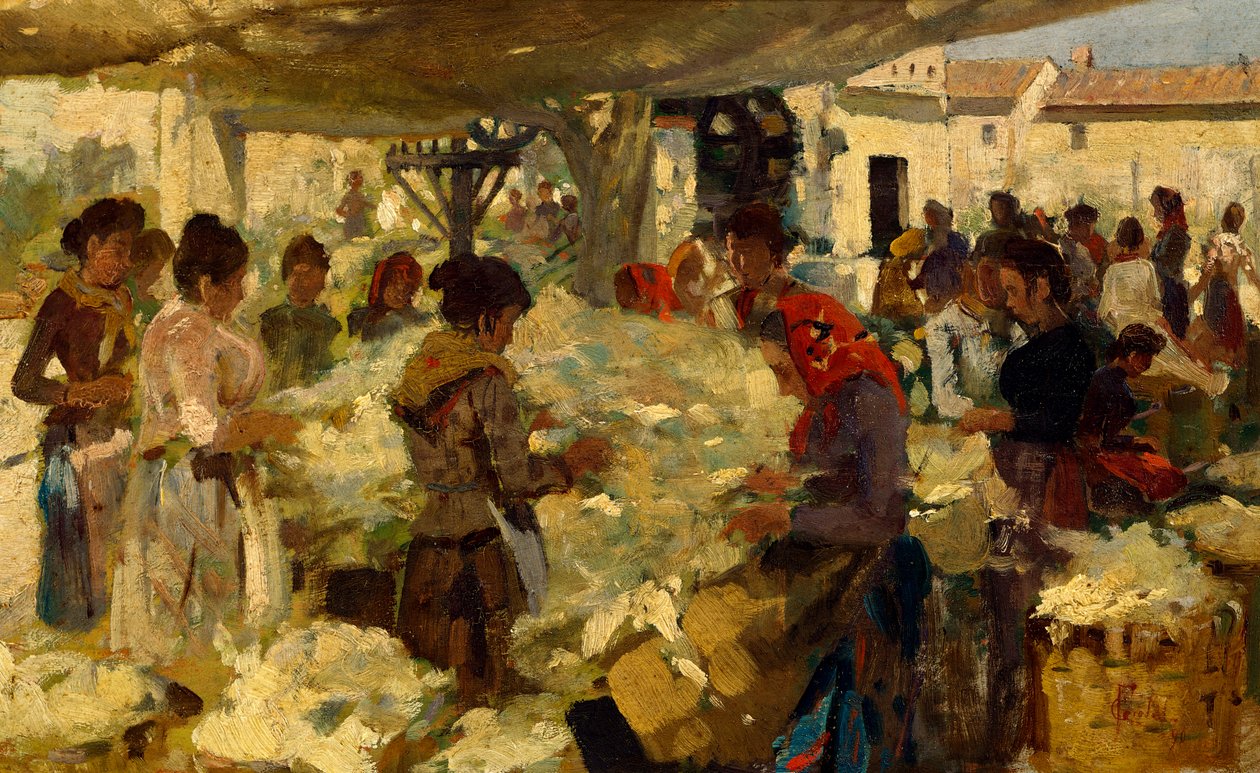 Ullselger av Francesco Gioli