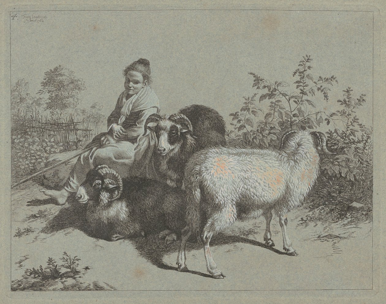 Sittende gjeterinne med tre værer, 1762. av Francesco Londonio
