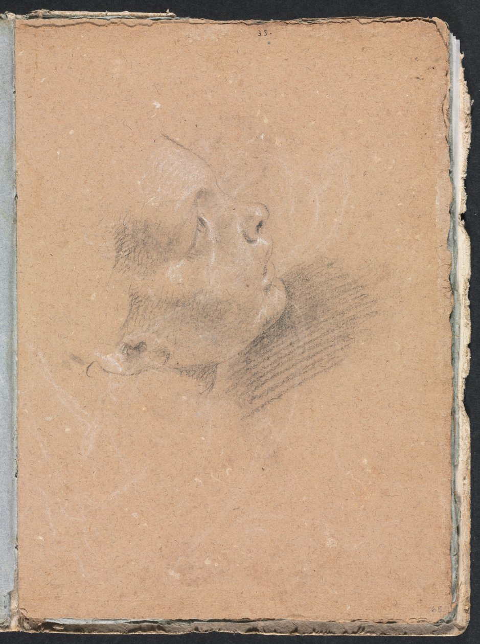 Verona Sketchbook: Kvinnelig profil (side 65) av Francesco Lorenzi