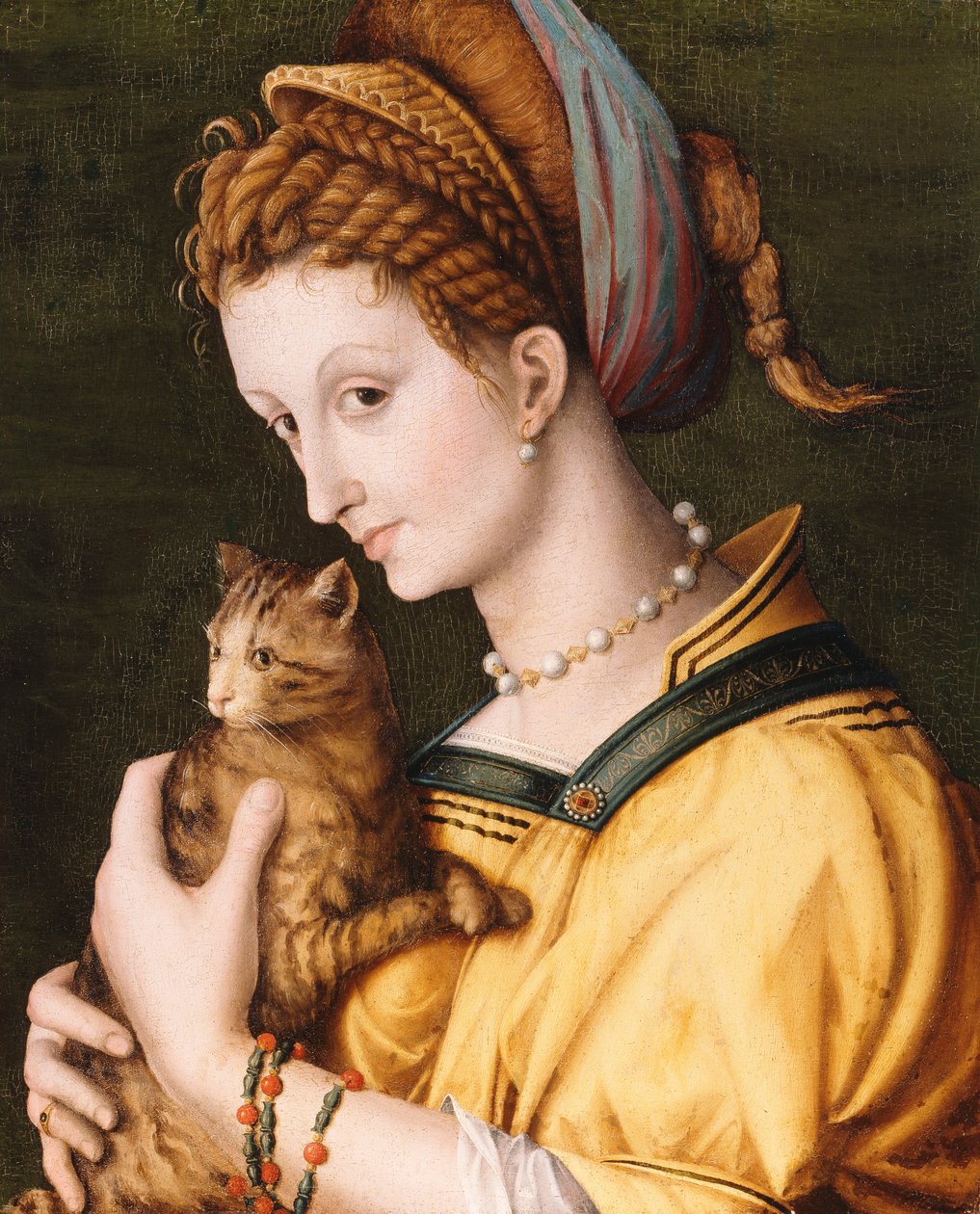 Lady With A Cat, ca. 1525-30 av Francesco Ubertini Bacchiacca
