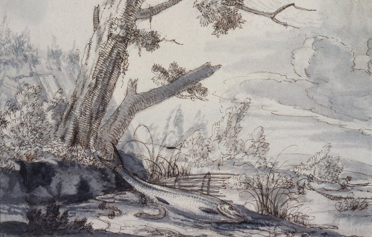Partridges and Snipe, 1600-tallet (tegning) av Francis Barlow