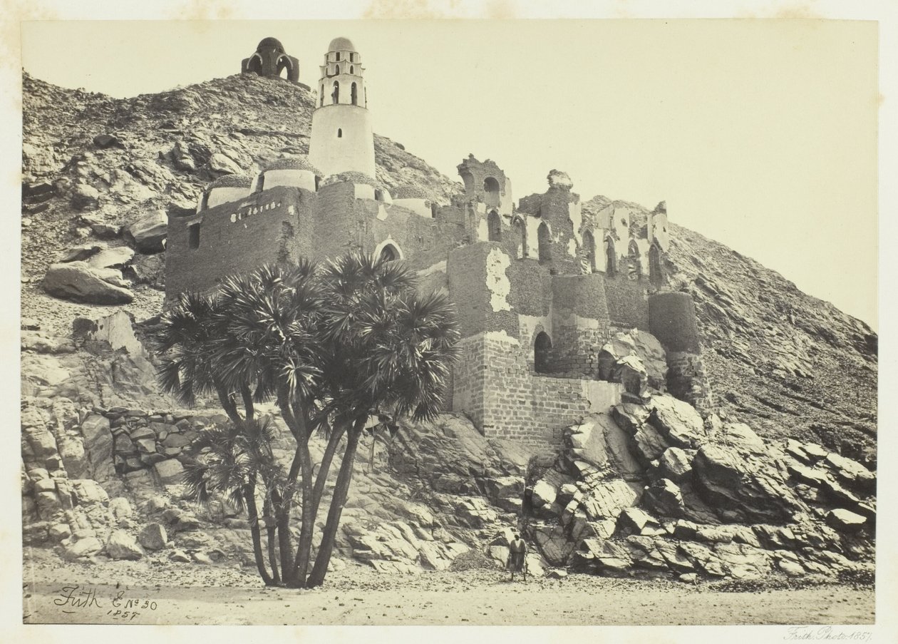 Doum Palm og den ødelagte moskeen, Philæ av Francis Frith
