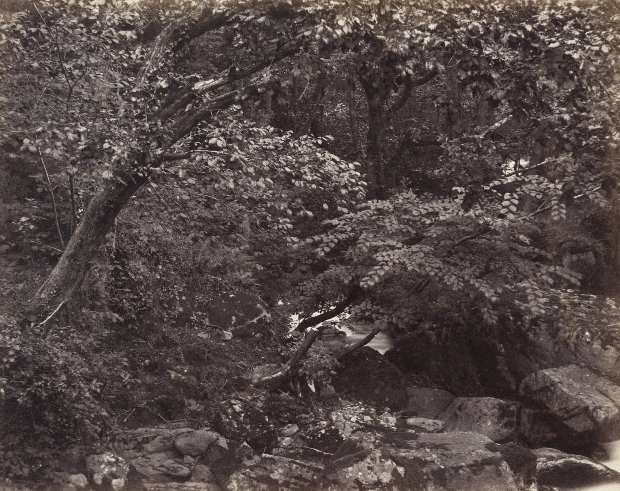 Glen i Lynmouth, 1860-årene av Francis Frith