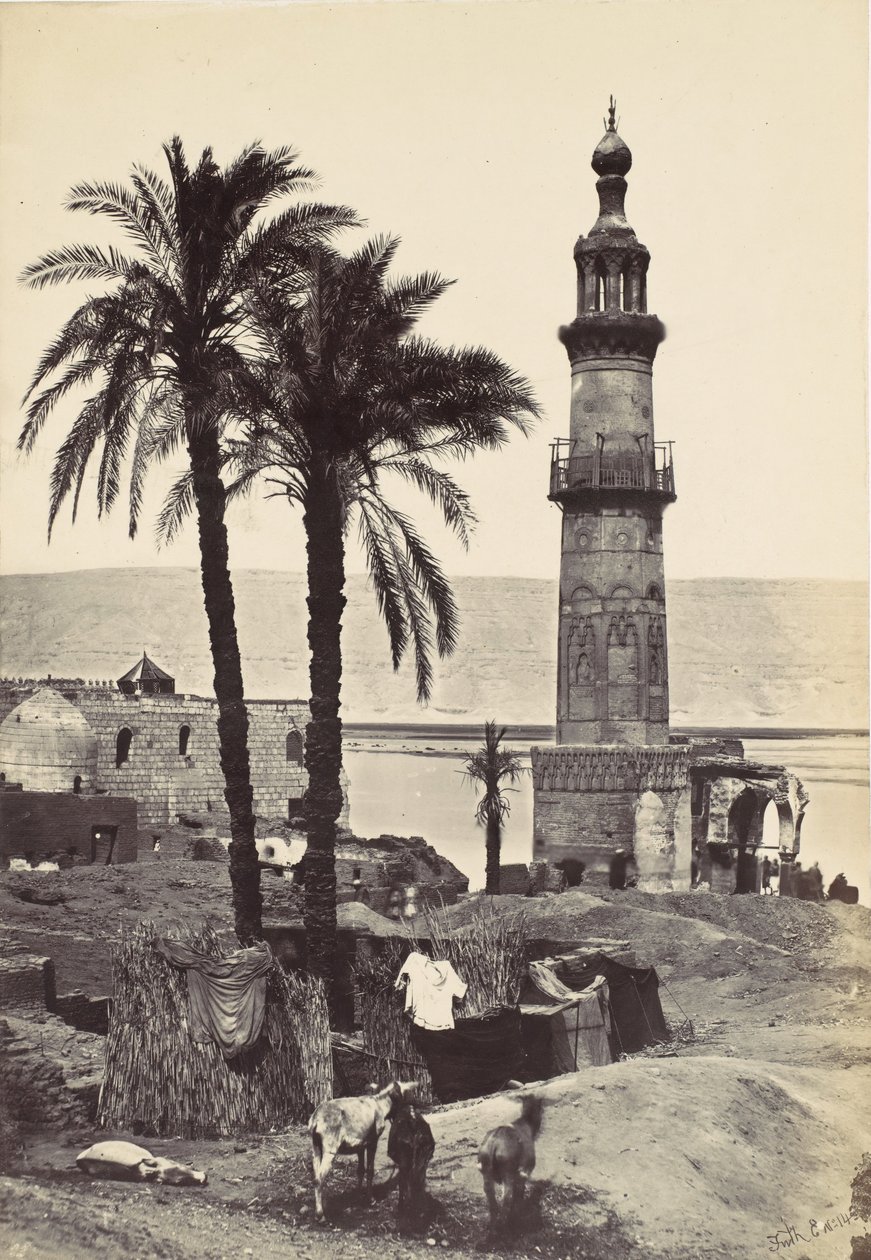Utsikt ved Girgeh, 1857. av Francis Frith