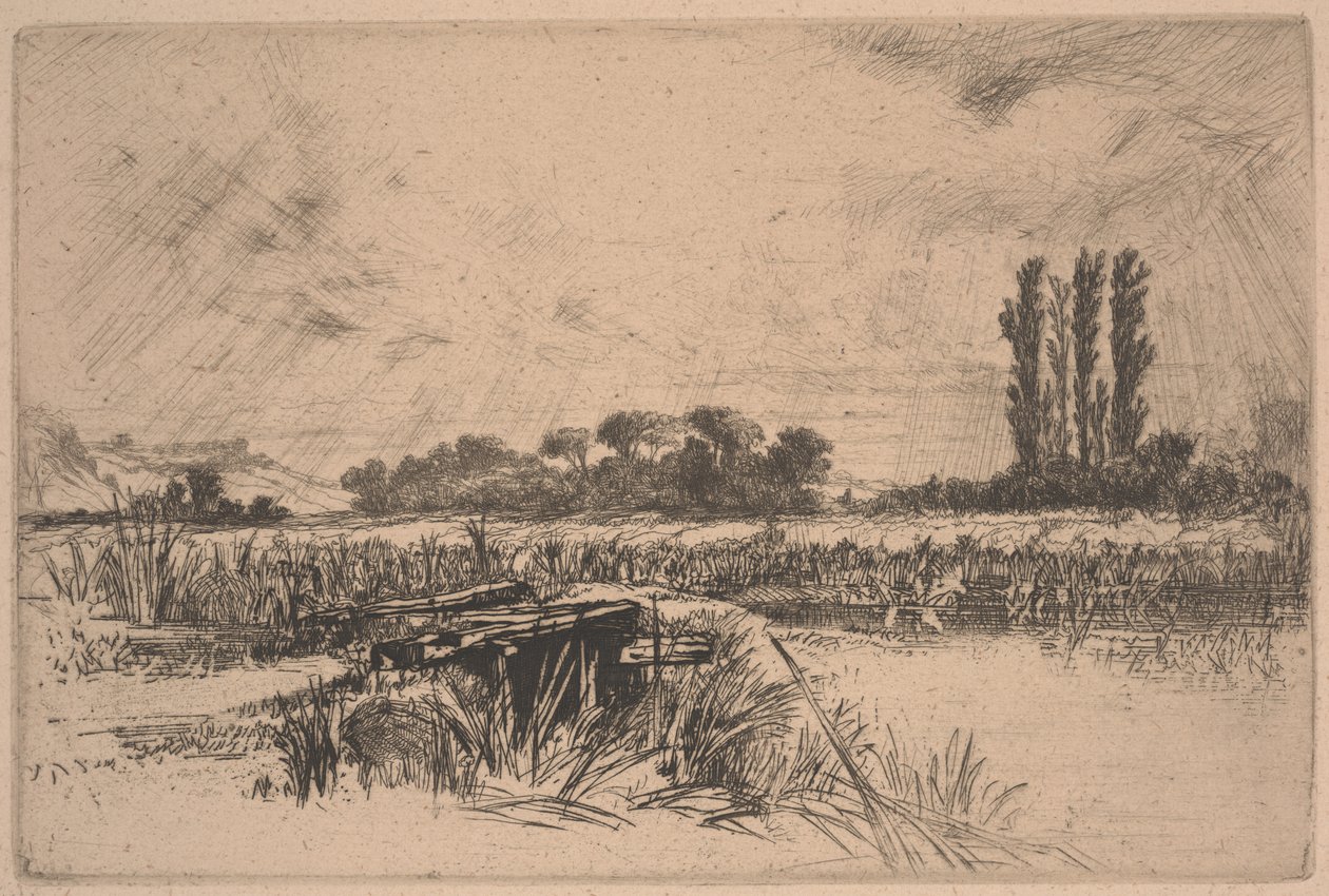 A Water Meadow (etsing og tørrpunkt) av Francis Seymour Haden