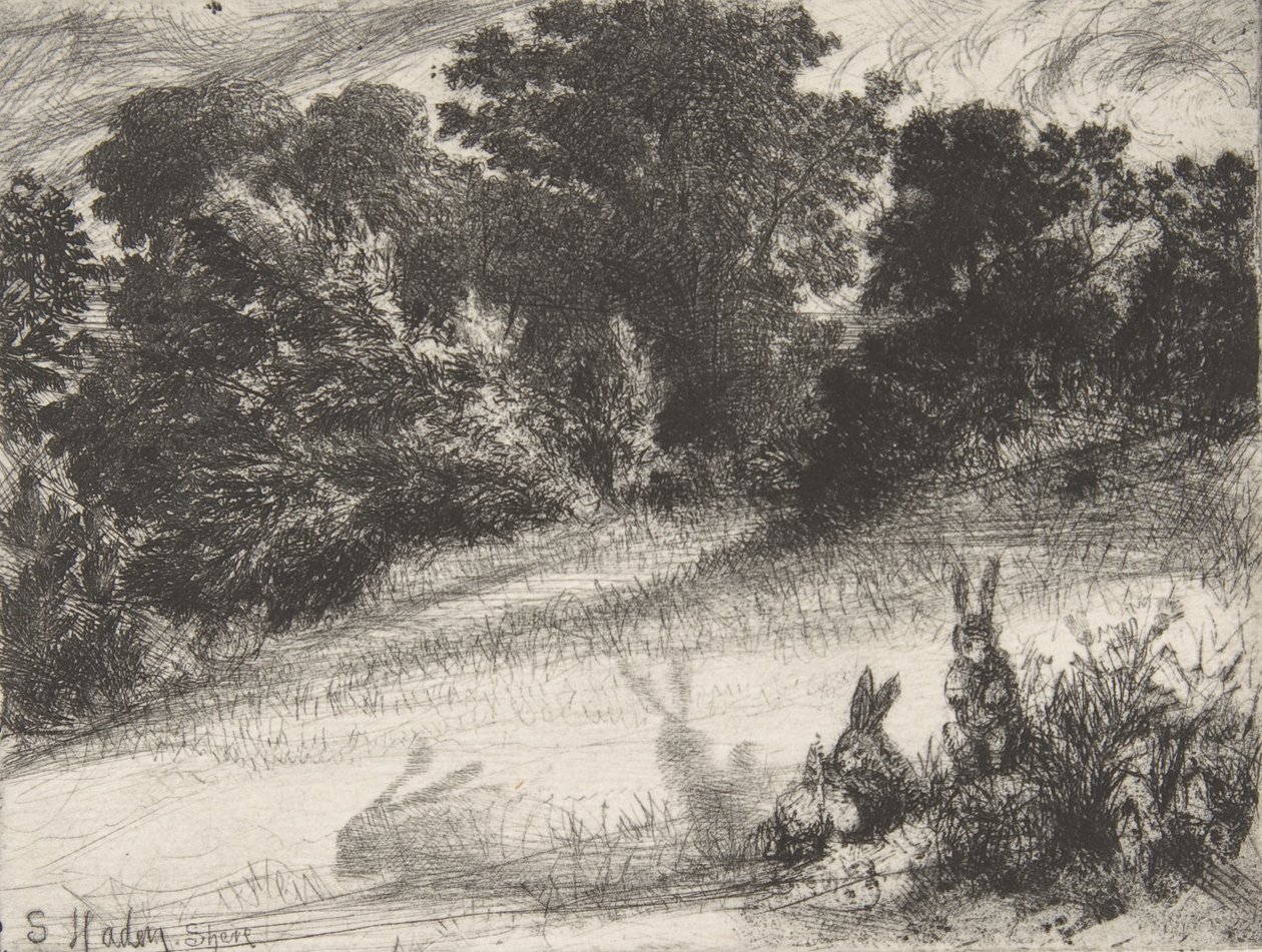 Combe Bottom, 1860., 1860. av Francis Seymour Haden