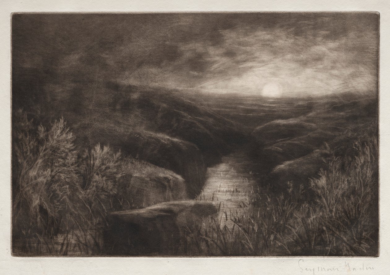 Tilholdssted for myggen. av Francis Seymour Haden
