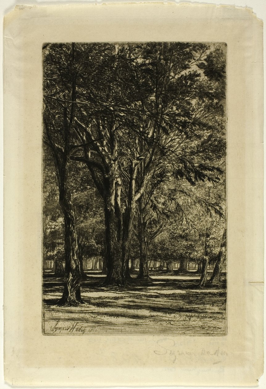 Kensington Gardens, nr. II (stor tallerken) av Francis Seymour Haden