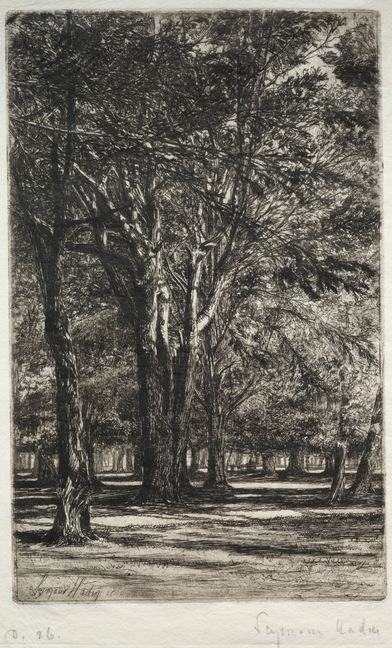 Kensington Gardens The Larger Plate, 1860. av Francis Seymour Haden