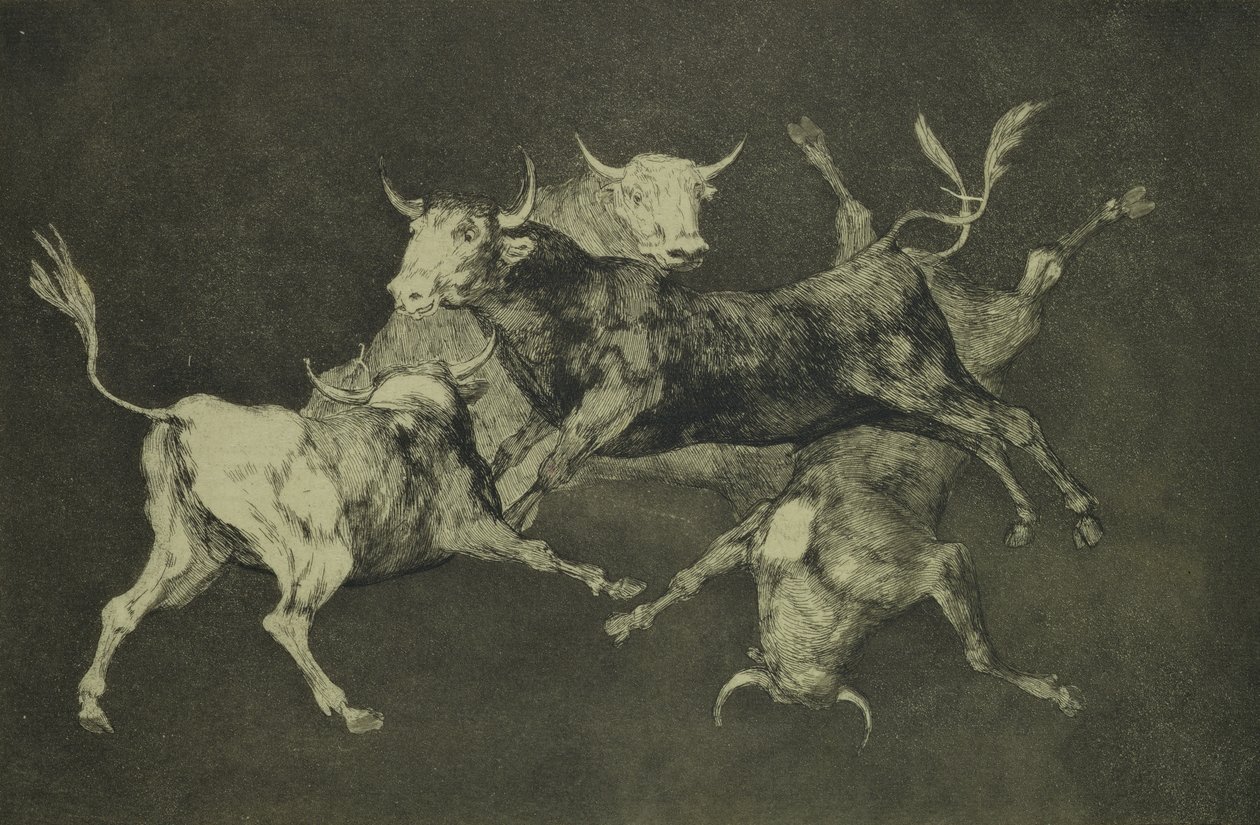 Folly of the Bulls, fra Follies-serien, ca. 1815-24 (etsing og akvatint på japansk papir) av Francisco de Goya