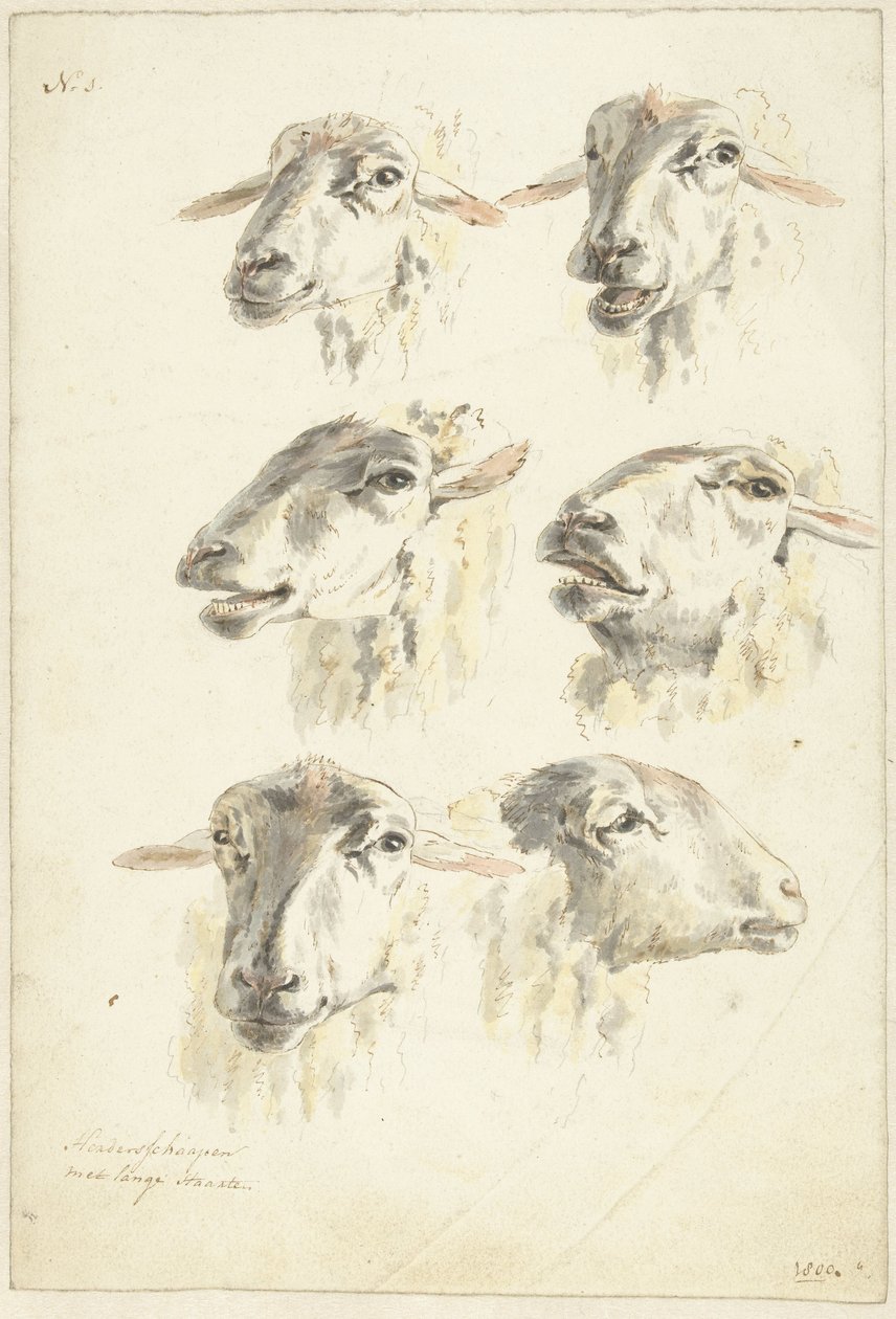 Studieark med seks sauehoder av Franciscus Andreas Milatz (attributed to)