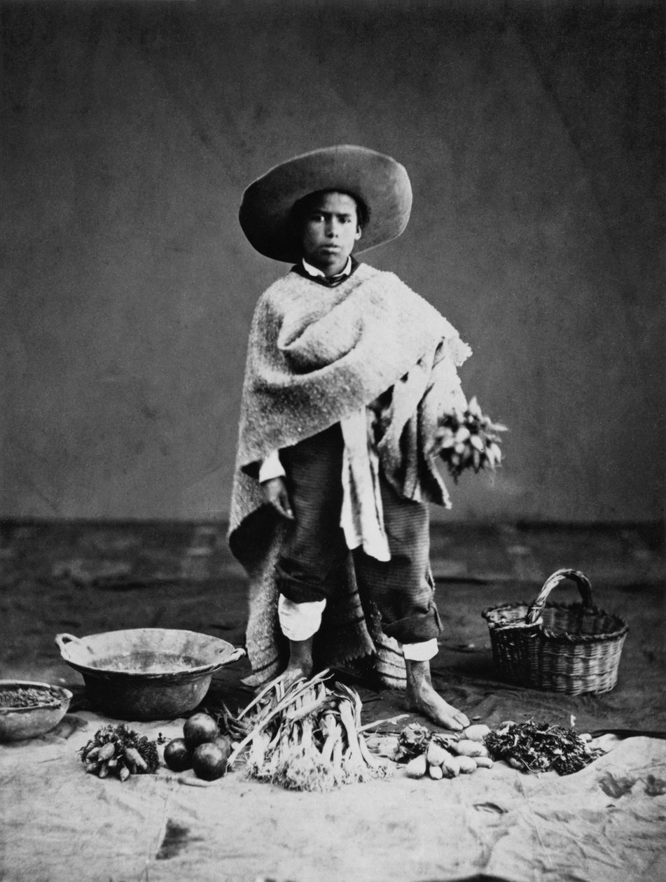 Innfødt i Mexico av Francois Aubert