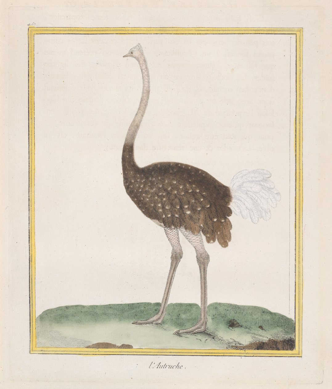 Struts struts, 1770-86. av Francois Nicolas Martinet