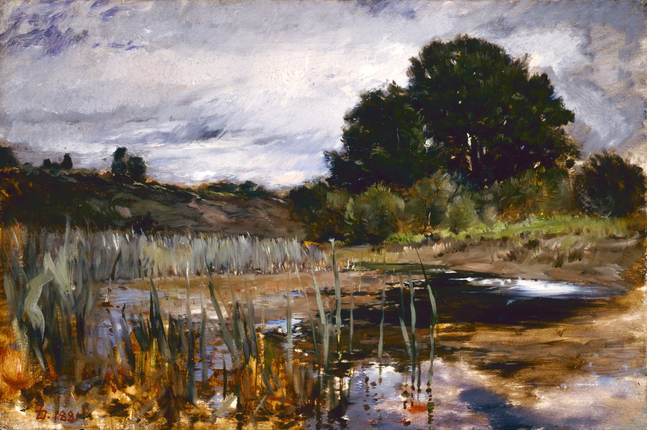 Avstemningslandskap av Frank Duveneck