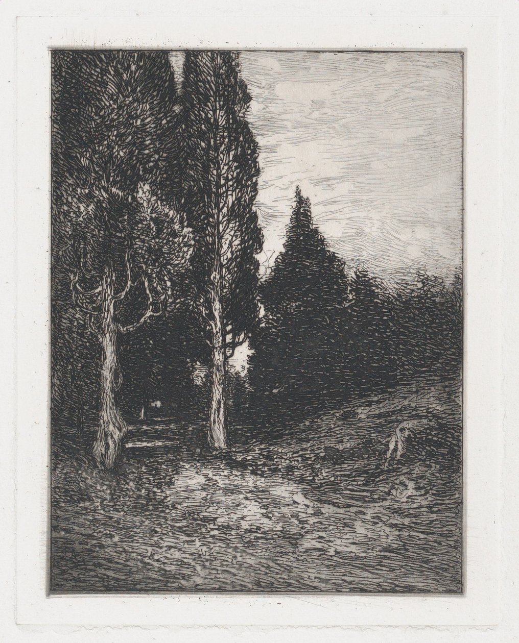 Landskap, ca. 1880-91. av Frank Anderson