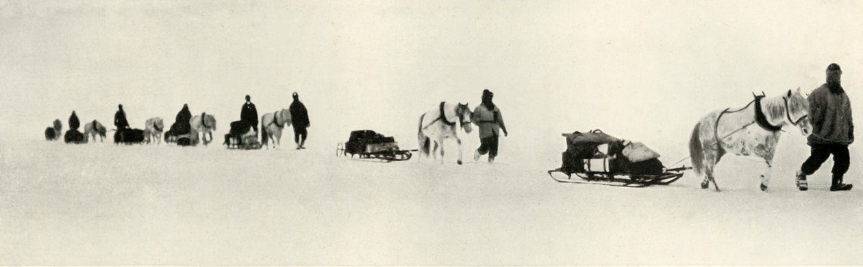 Ponnier i mars 1911, 1913 av Frank Debenham