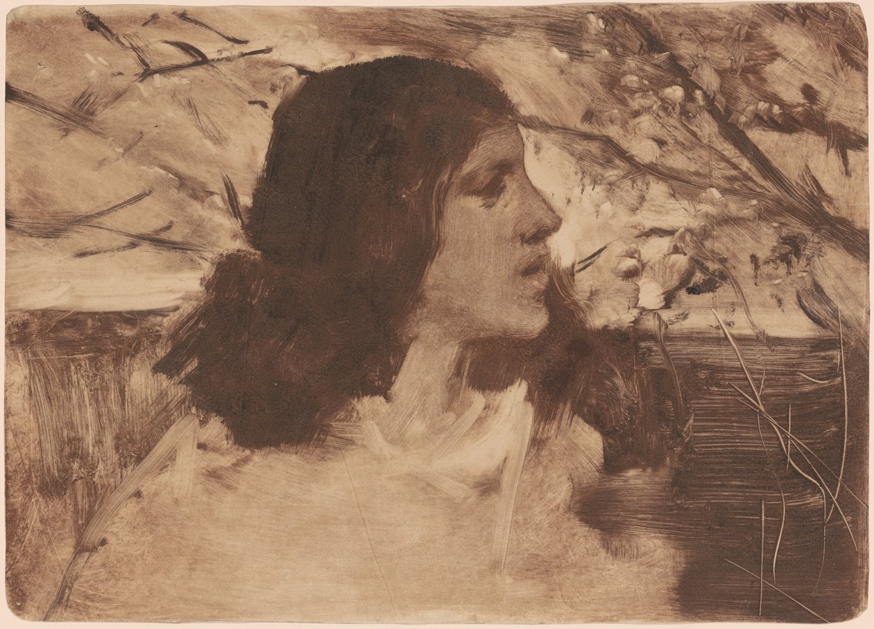 Hodet til en kvinne av Frank Duveneck