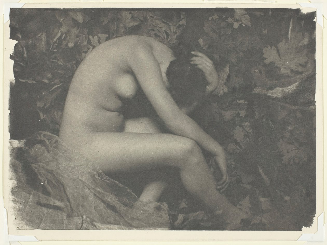 Sikaden, 1898. av Frank Eugene