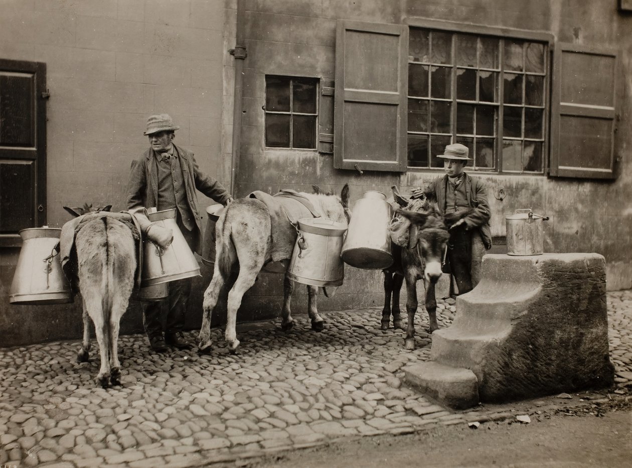 Melkeesler, ca. 1890. av Frank Meadow Sutcliffe