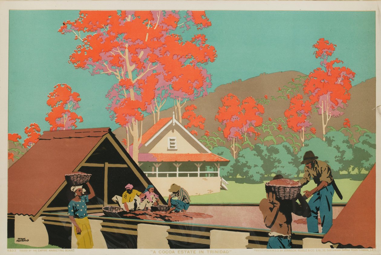 En kakaogård i Trinidad (farge litho) av Frank Newbould