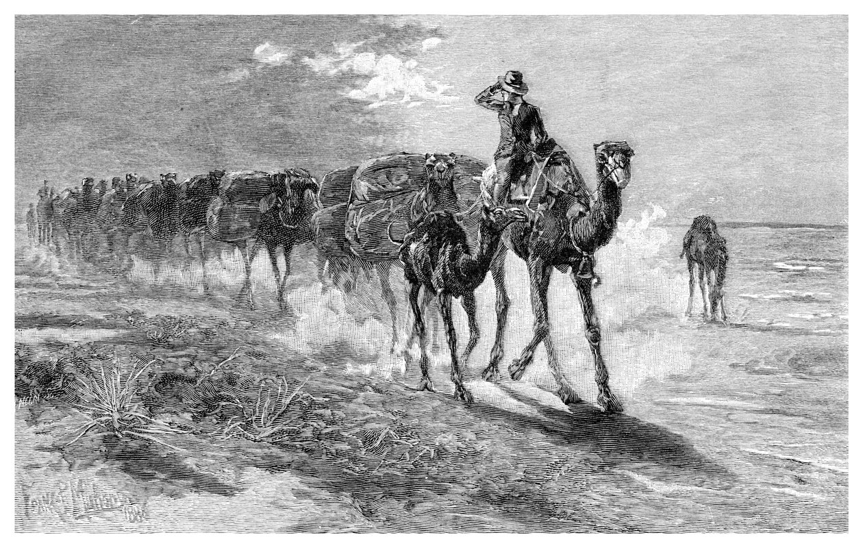 Kameler som bærer ull, 1886. av Frank P. Mahony