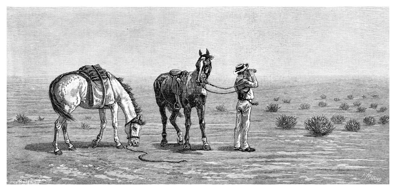 Ingenting i sikte, 1886. av Frank P. Mahony