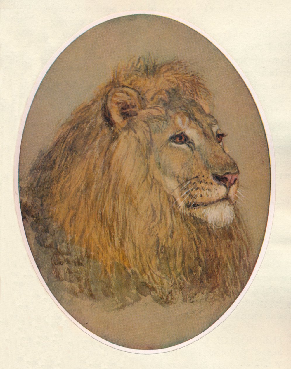 Lions Head, c1896 av Frank Paton