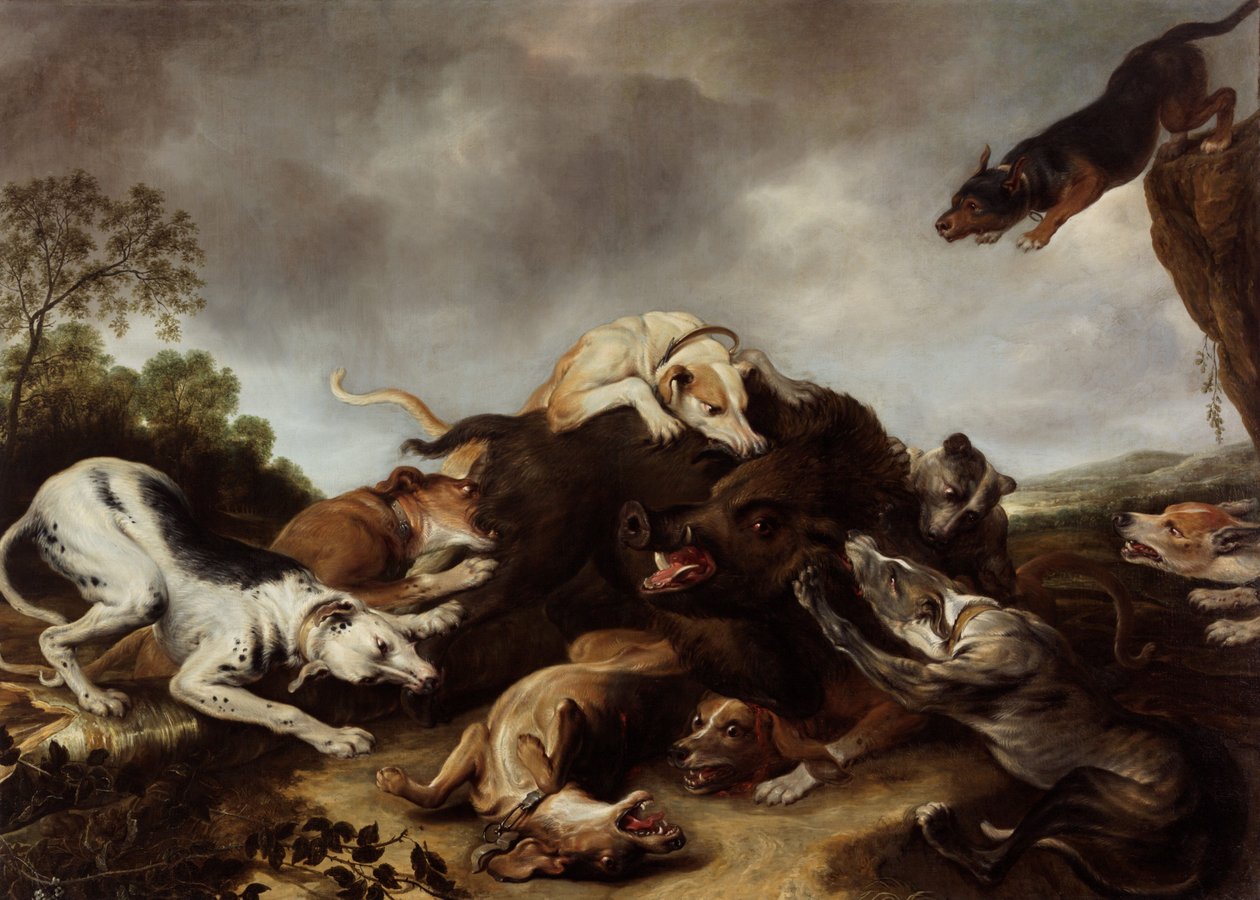 Villsvinjakten av Frans Snyders or Snijders