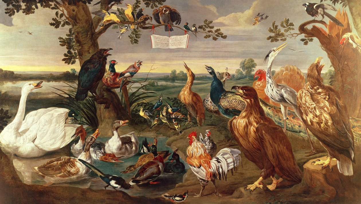 Ulike fugler av Frans Snyders or Snijders