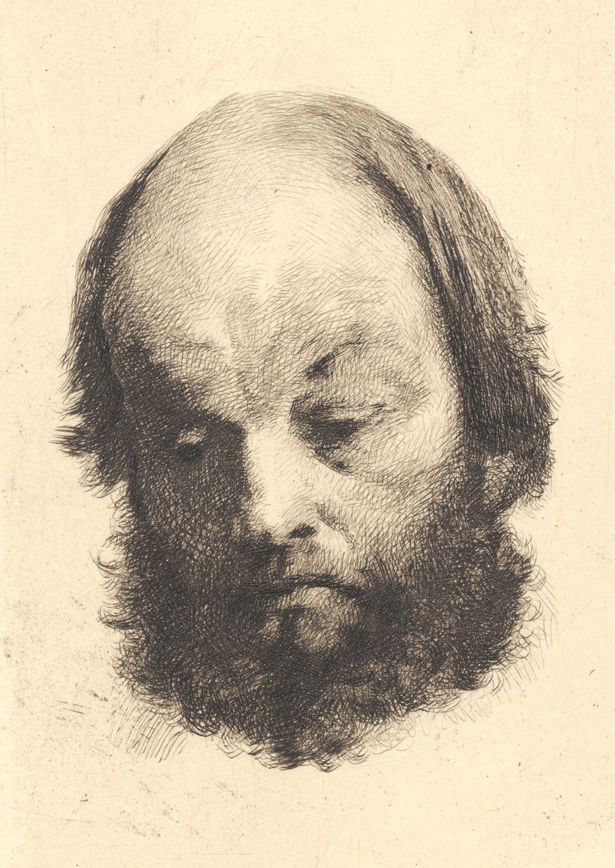 Svartskjeggmann, Garibaldi av Frans Schwartz