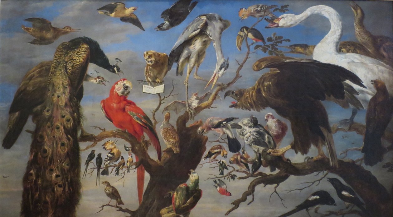  av Frans Snyders