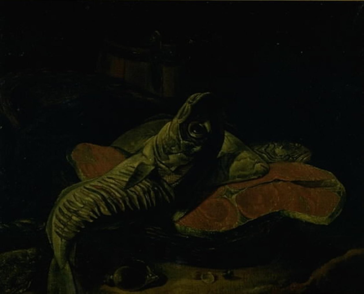 Fisk av Frans van