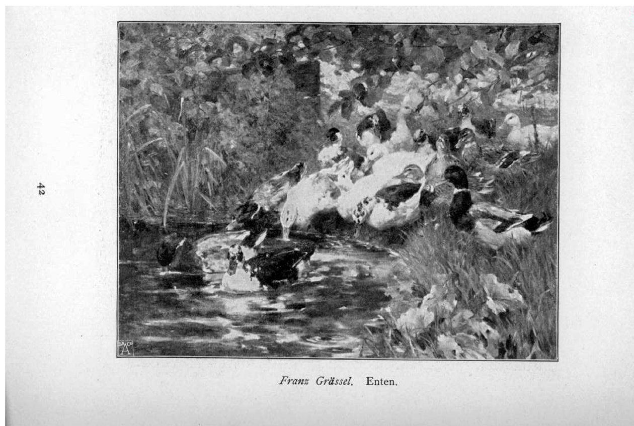 Enten av Franz Grassel