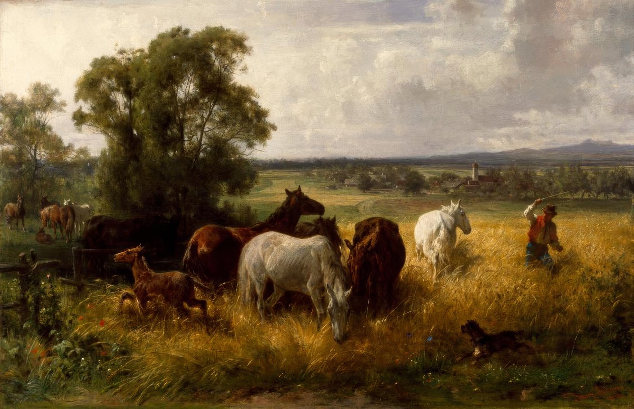 F. Adam, Beyond the paddocken av Franz Adam