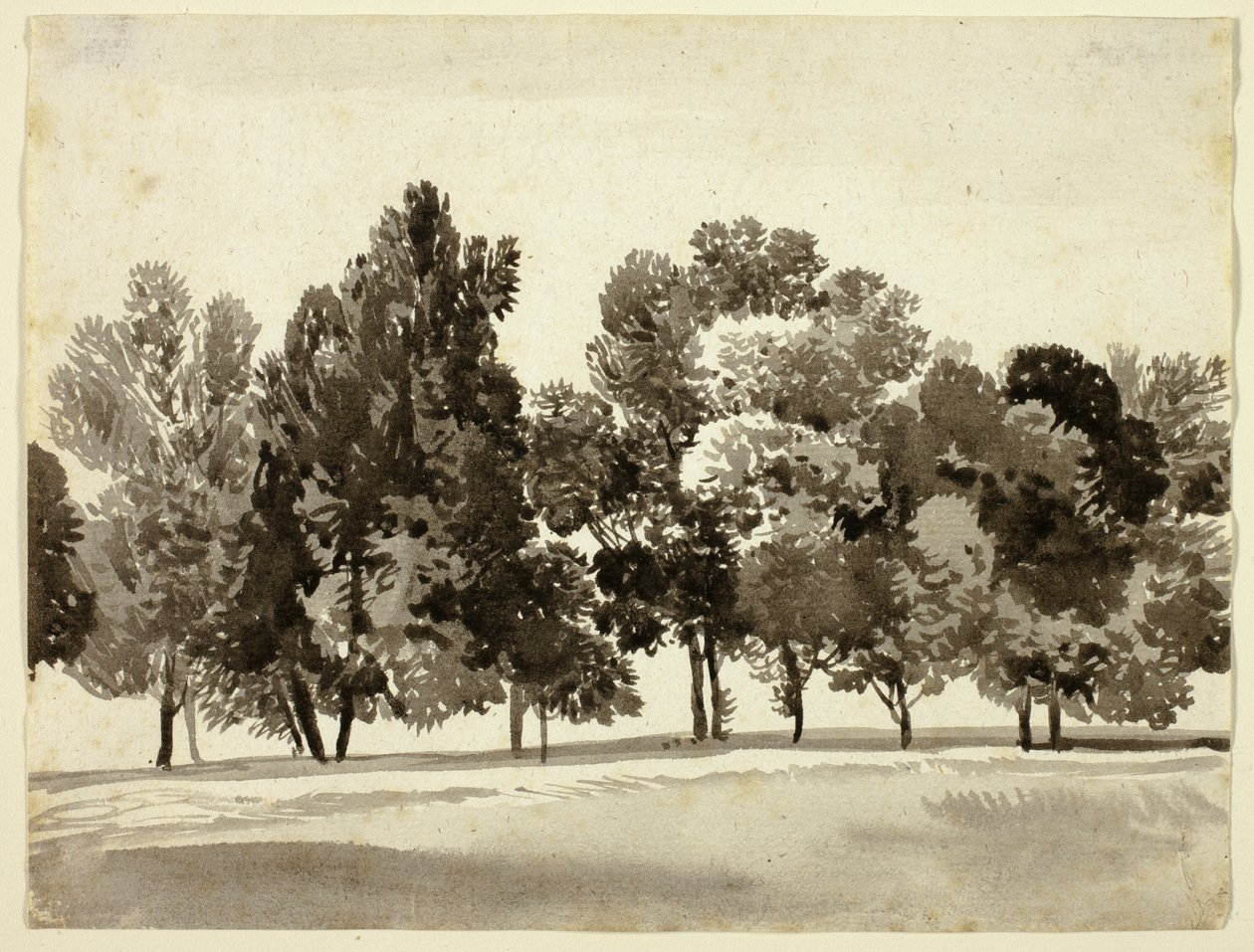 Grove av løvtrær av Franz Kobell