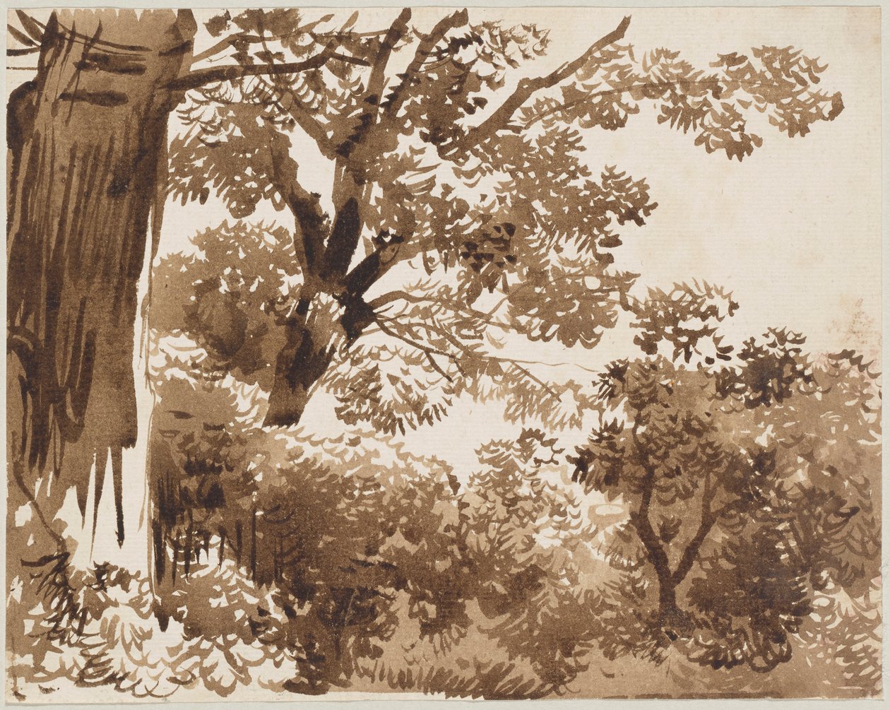 I skogen av Franz Kobell